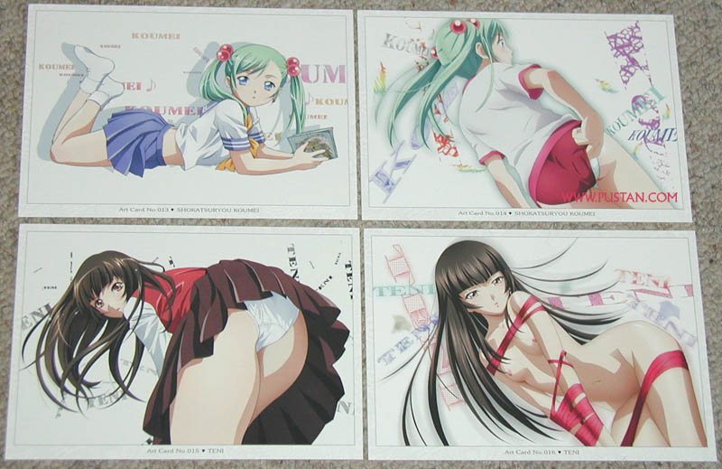 Ikki Tousen: Xtreme Xecutor BluRay goodies