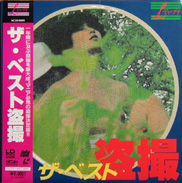 Japanese Adult Title Laserdisc front