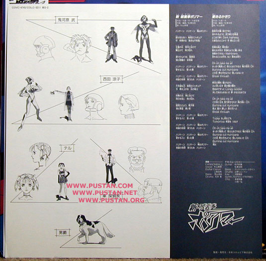 Shin Hurricane Polymer Laserdisc Insert