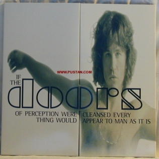 The Doors Laserdisc inner Box